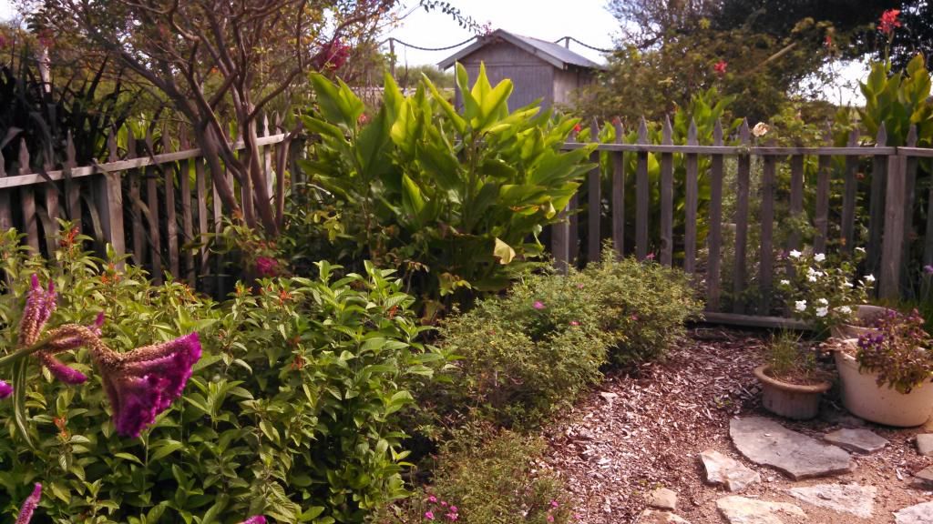  photo IMG_20140924_100923_039.jpg